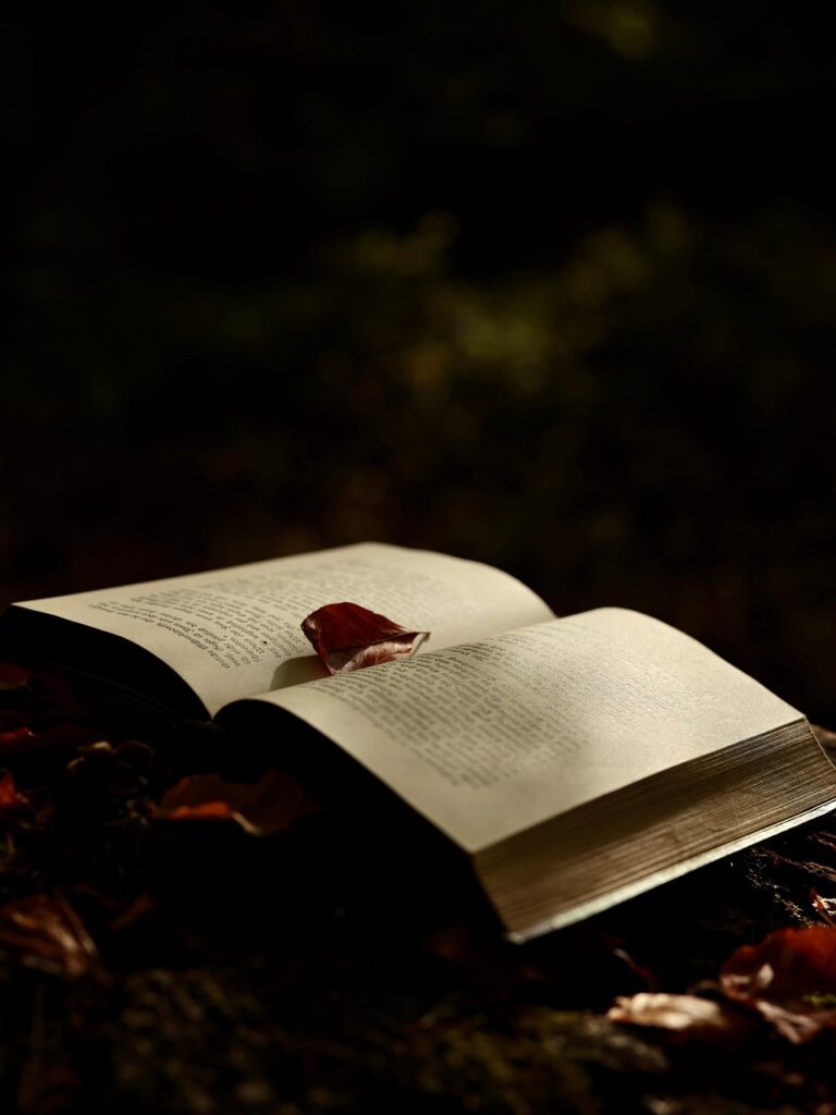 book, literature, reading, forest, nature, autumn, leaves, fall, magic, fantasy